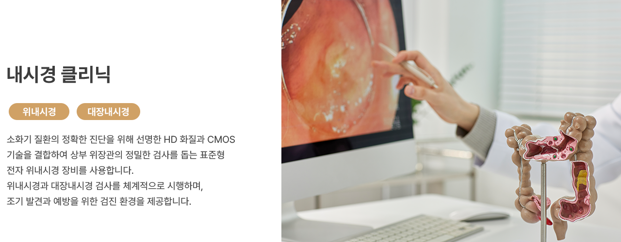 아름다움의 시작