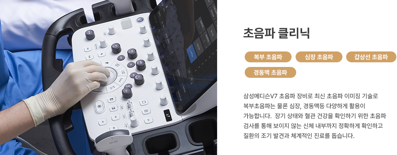 아름다움의 시작